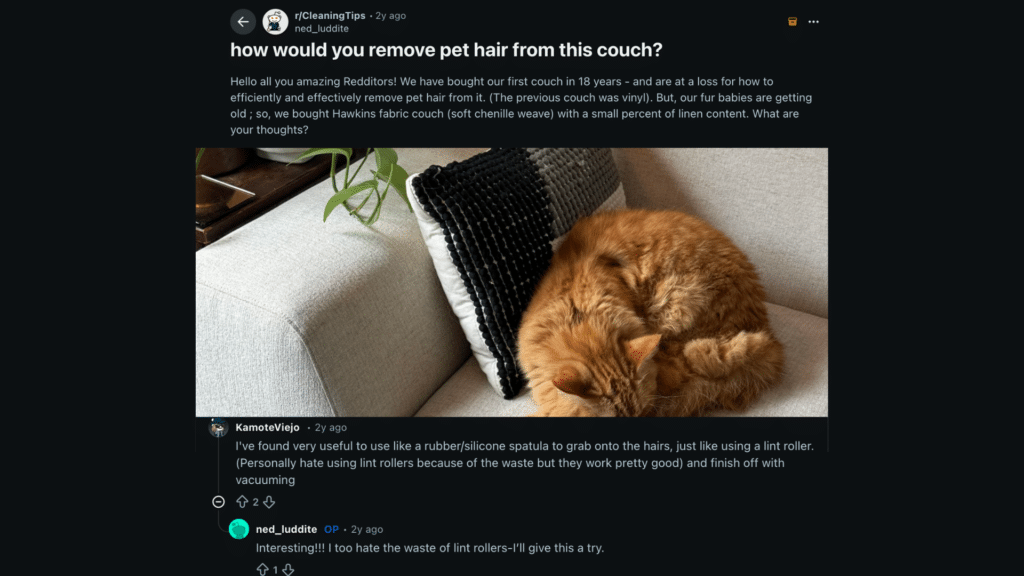 reddit users comments on how to remove pet hair from couch