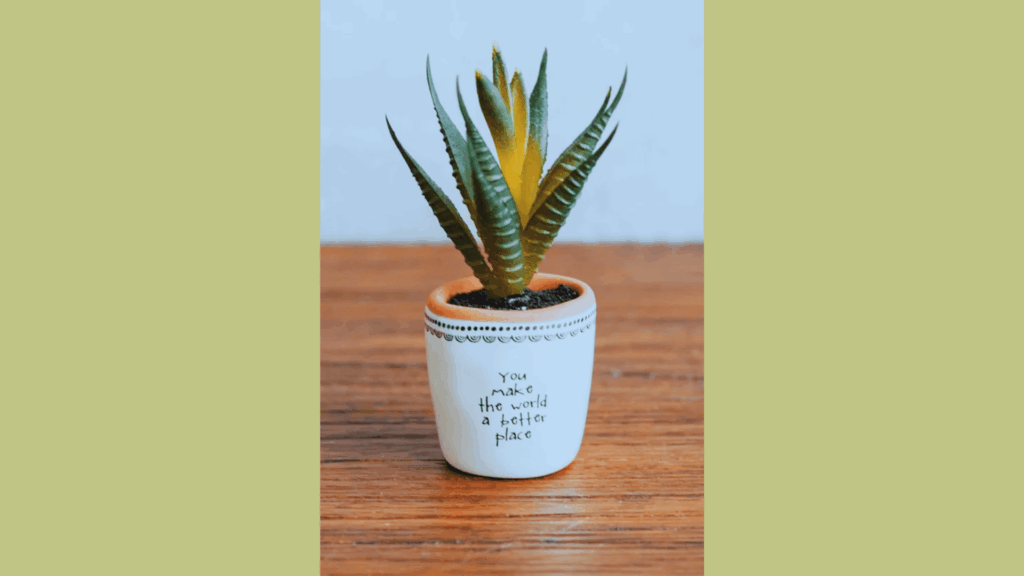 succulent plant in a small pot with a message you make the world a better place
