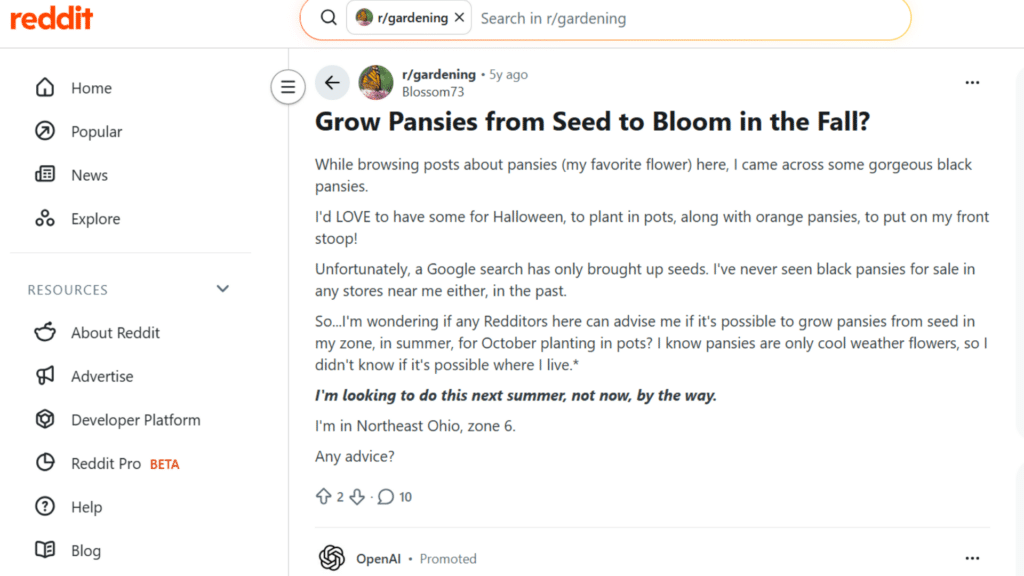 this reddit post is showing discussion regarding when to plant pansies