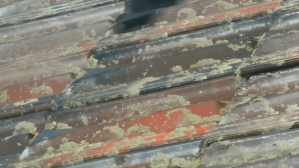 tile roof cleaning process showing solution resting on roof tiles to break down dirt and moss