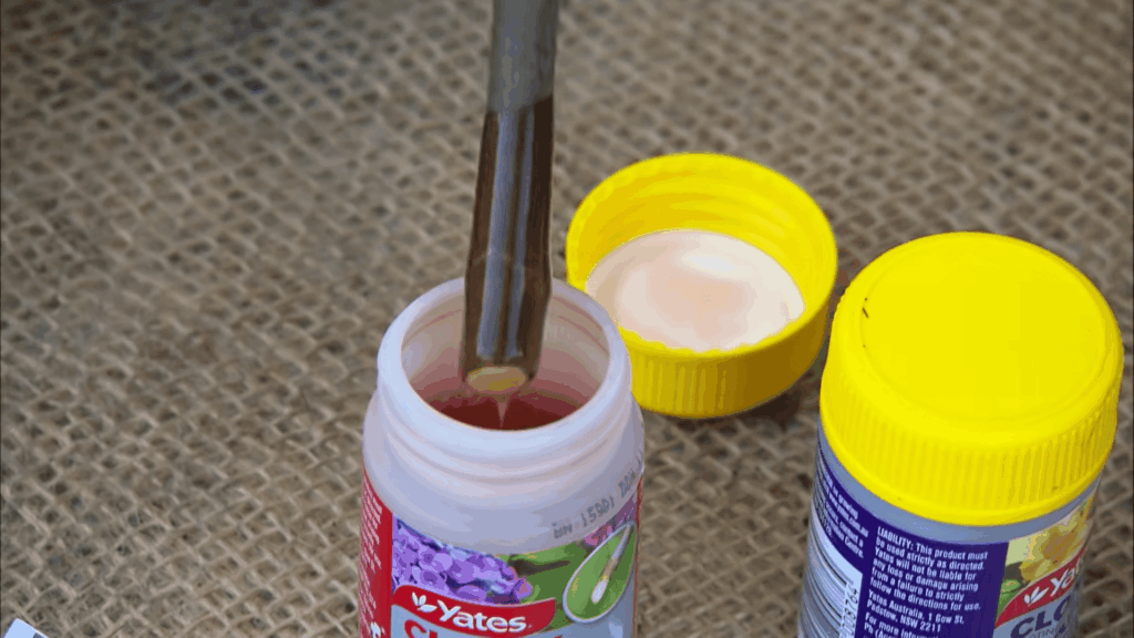 using rooting hormone gel for cuttings showing how to propagate plants step by step at home