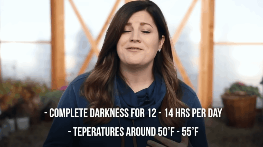 woman speaking indoors with text about plant care lighting and temperature on screen