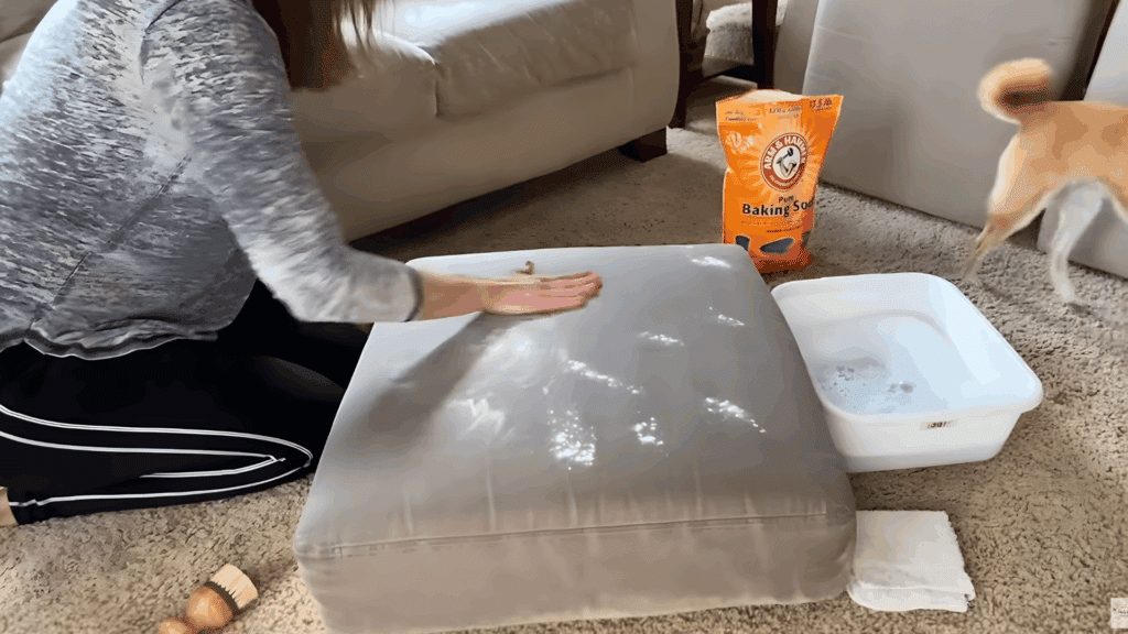 woman spreading cleaning solution across cushion surface with hand on carpeted floor