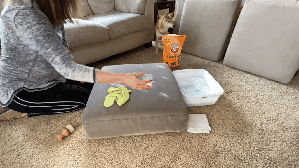 woman sprinkling baking soda onto cushion while dog stands behind observing scene