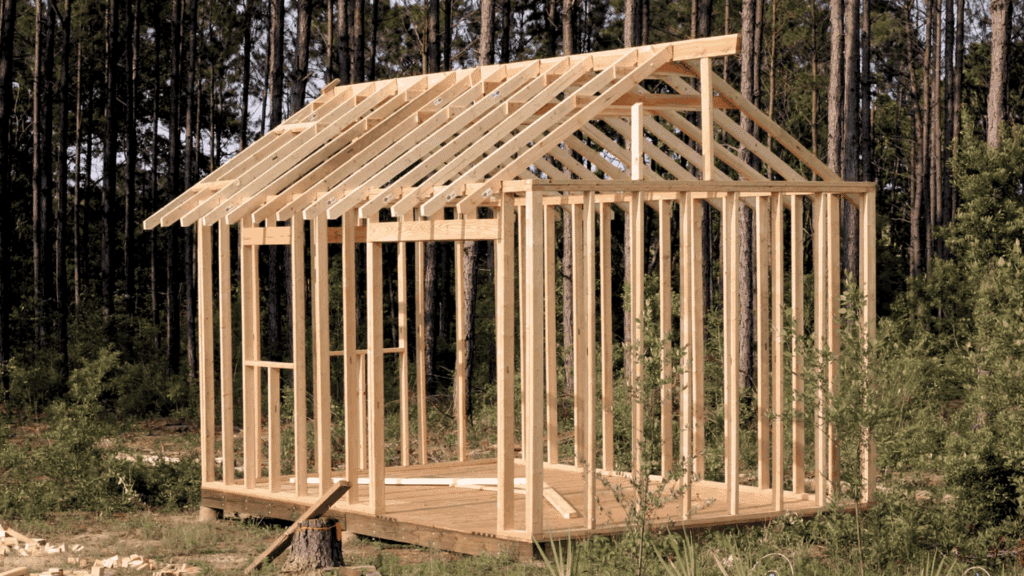 wooden shed frame under construction with wall studs and roof trusses showing how to build a shed step by step