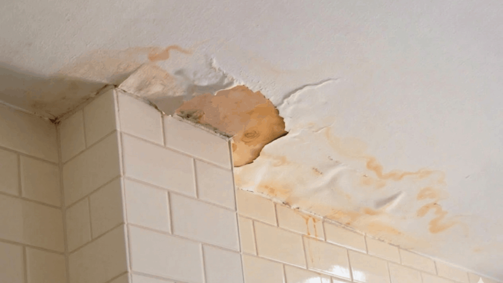 ceiling water stain near corner with peeling paint showing moisture damage and leak source area