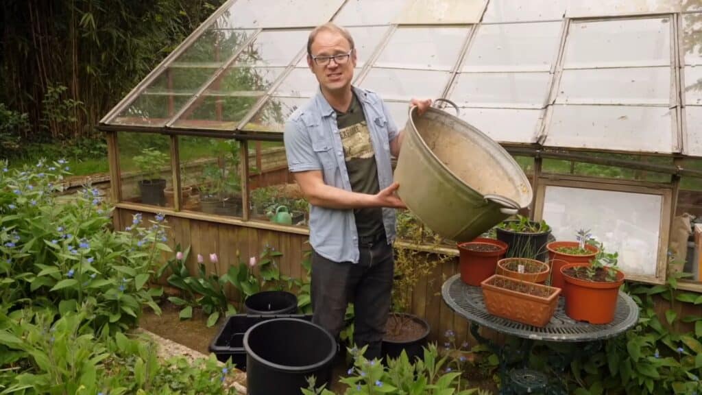choosing plant container with drainage holes for vegetables showing proper size and setup for healthy growth