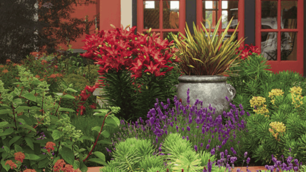 color themed garden with vibrant red purple and green plants arranged in a landscaped outdoor space