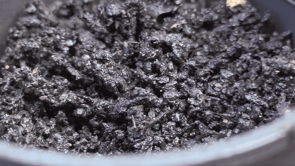 fill trays with well-draining soil and plant hollyhock seeds lightly covered with compost before first freeze for best results