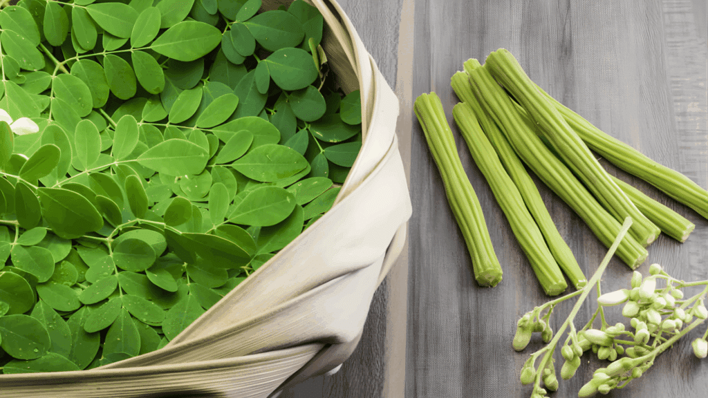 fresh moringa leaves in a basket with green drumstick pods and flowers on a wooden surface fast growing plants