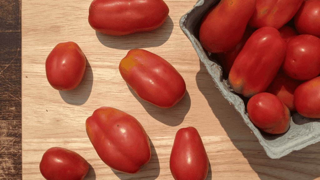 fresh san marzano tomatoes arranged on wooden board with more in a carton showing smooth elongated shape