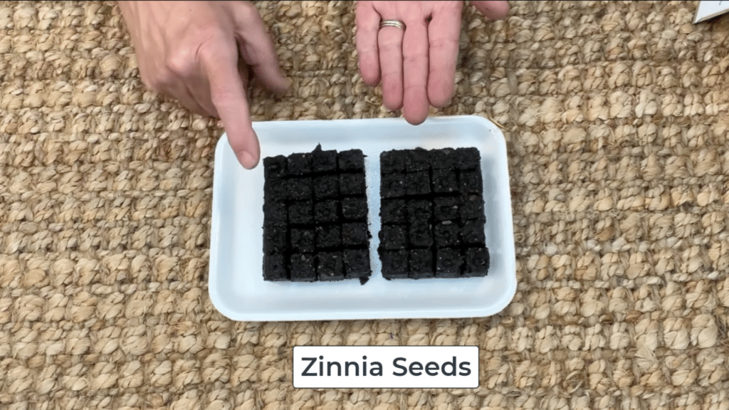 hands placing seeds into evenly spaced soil blocks on tray for proper planting and healthy seed growth indoors