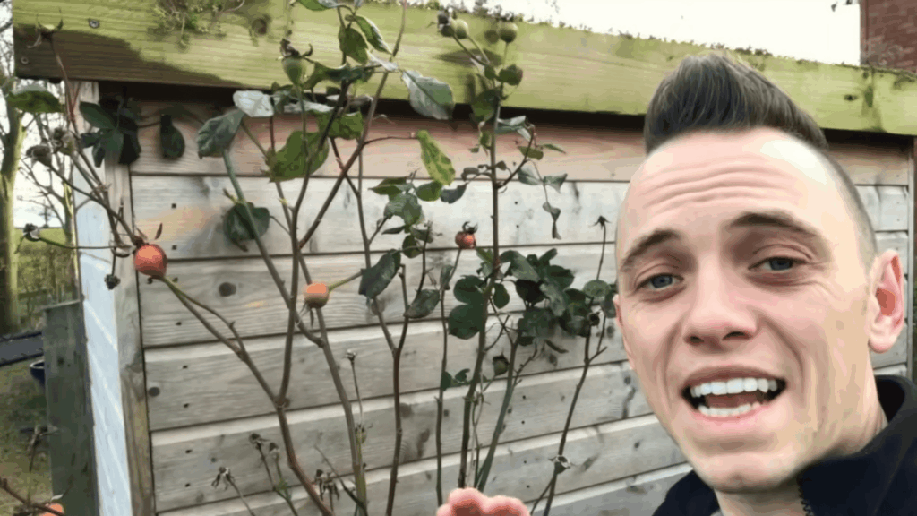 man standing near wooden fence with plant speaking outdoors in garden setting
