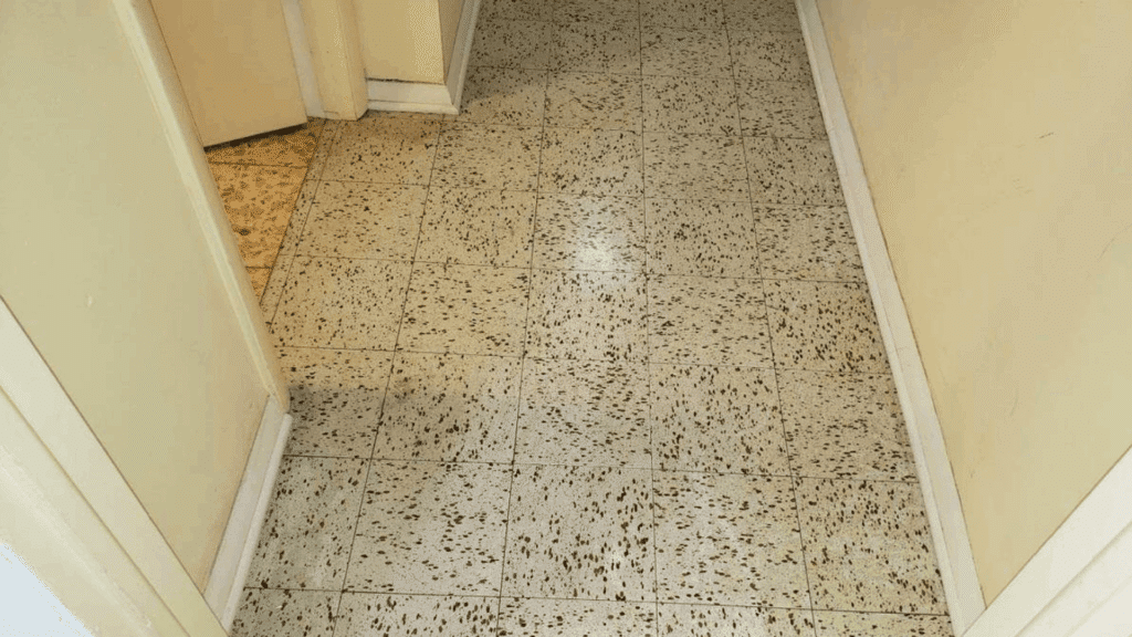 old speckled floor tiles in hallway showing small square pattern typical of older asbestos style vinyl flooring