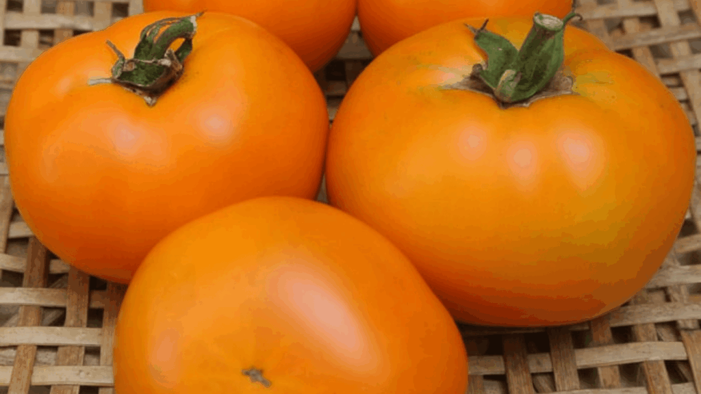 orange tomatoes placed on woven surface showing smooth skin and bright orange color