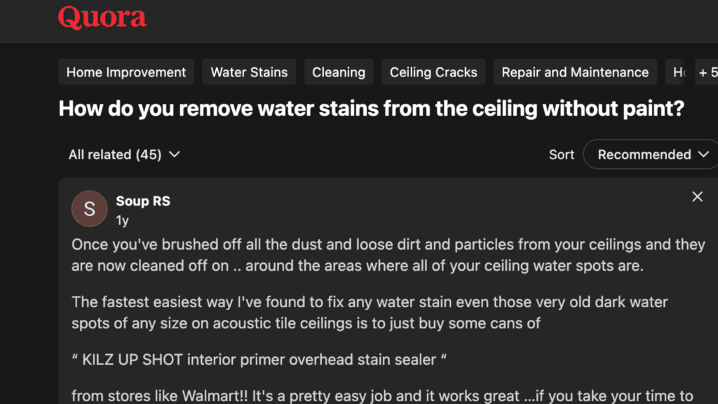 people discussing how to remove ceiling water stains without paint in online forums