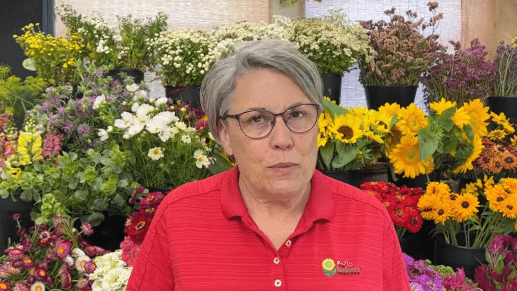 person standing in front of colorful flowers selecting suitable indoor space with good light for healthy flower growth