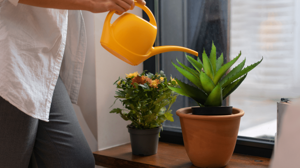 person watering indoor plant with yellow watering can