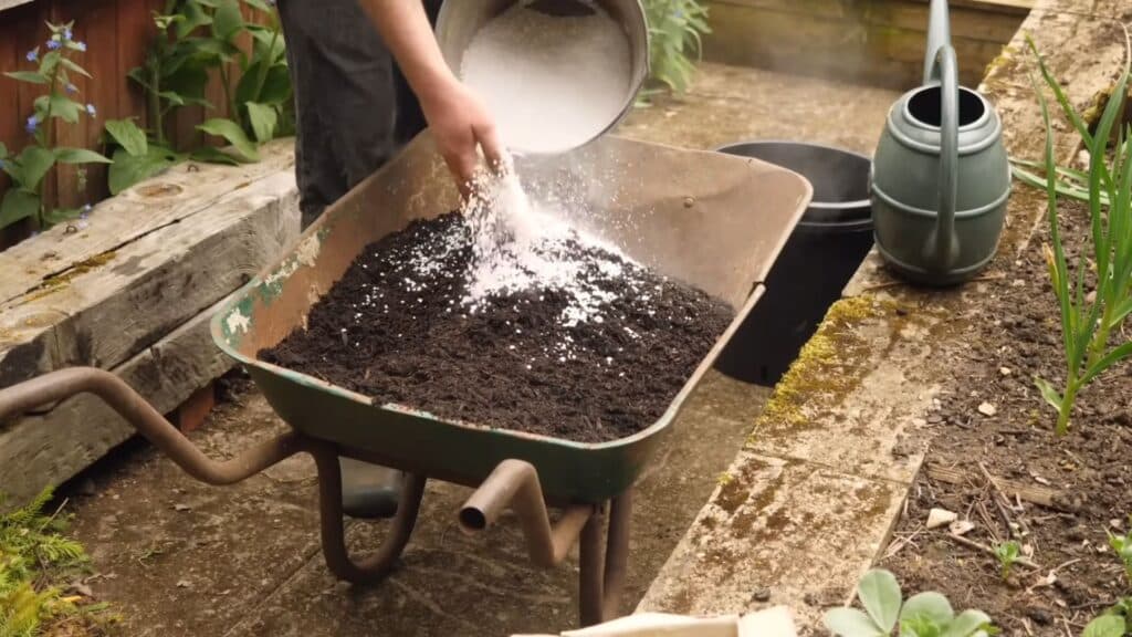 potting mix with compost perlite and coir in container showing well balanced soil for plant growth