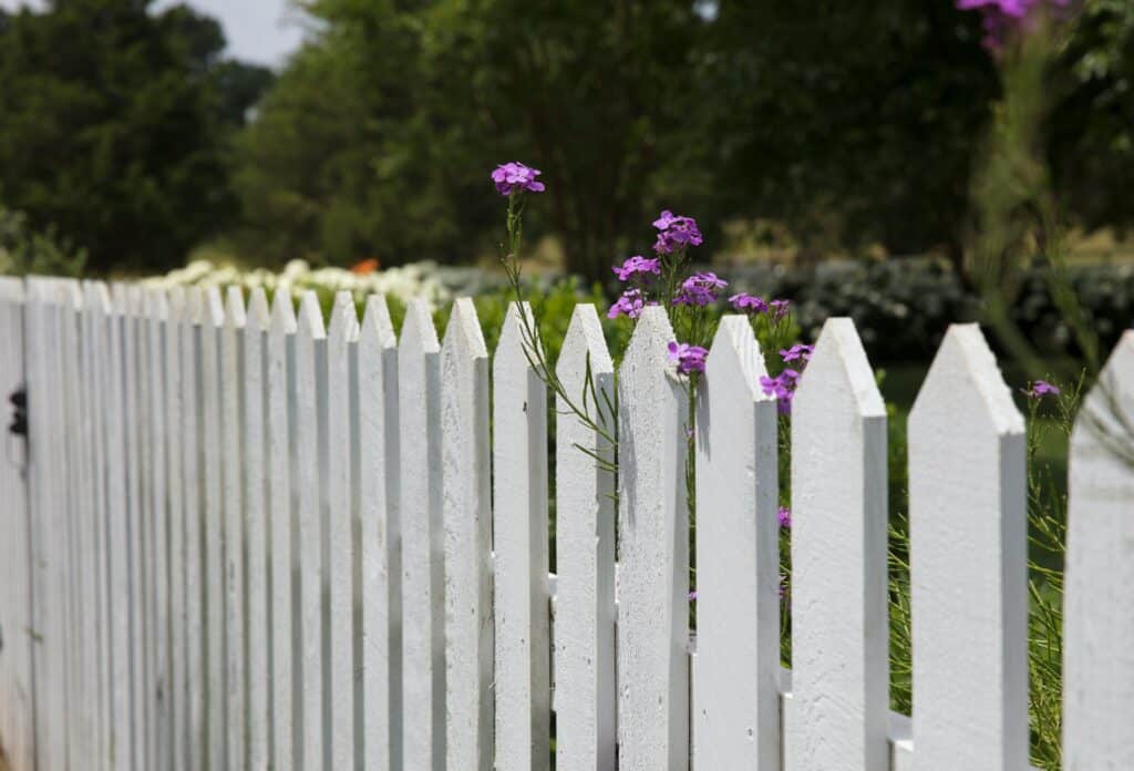 Fence