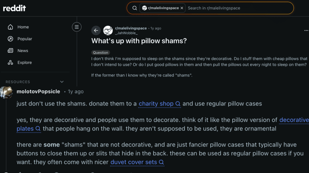 screenshot of reddit post discussing pillow shams with comments explaining they are decorative and not meant for sleeping