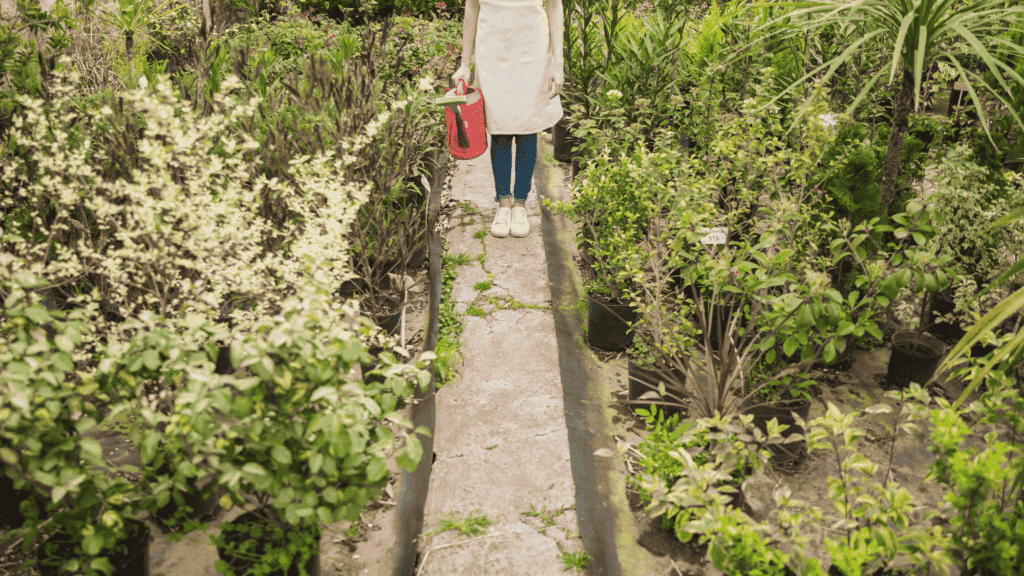 use xeriscaping design with drought tolerant plants for low maintenance landscaping