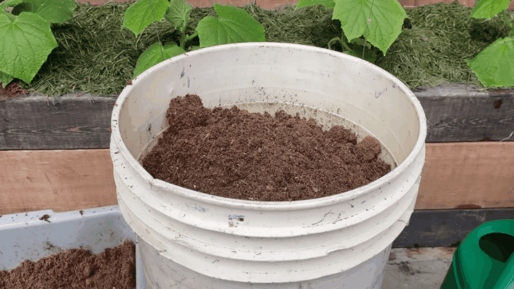 white bucket filled with soil placed near raised garden bed outdoors