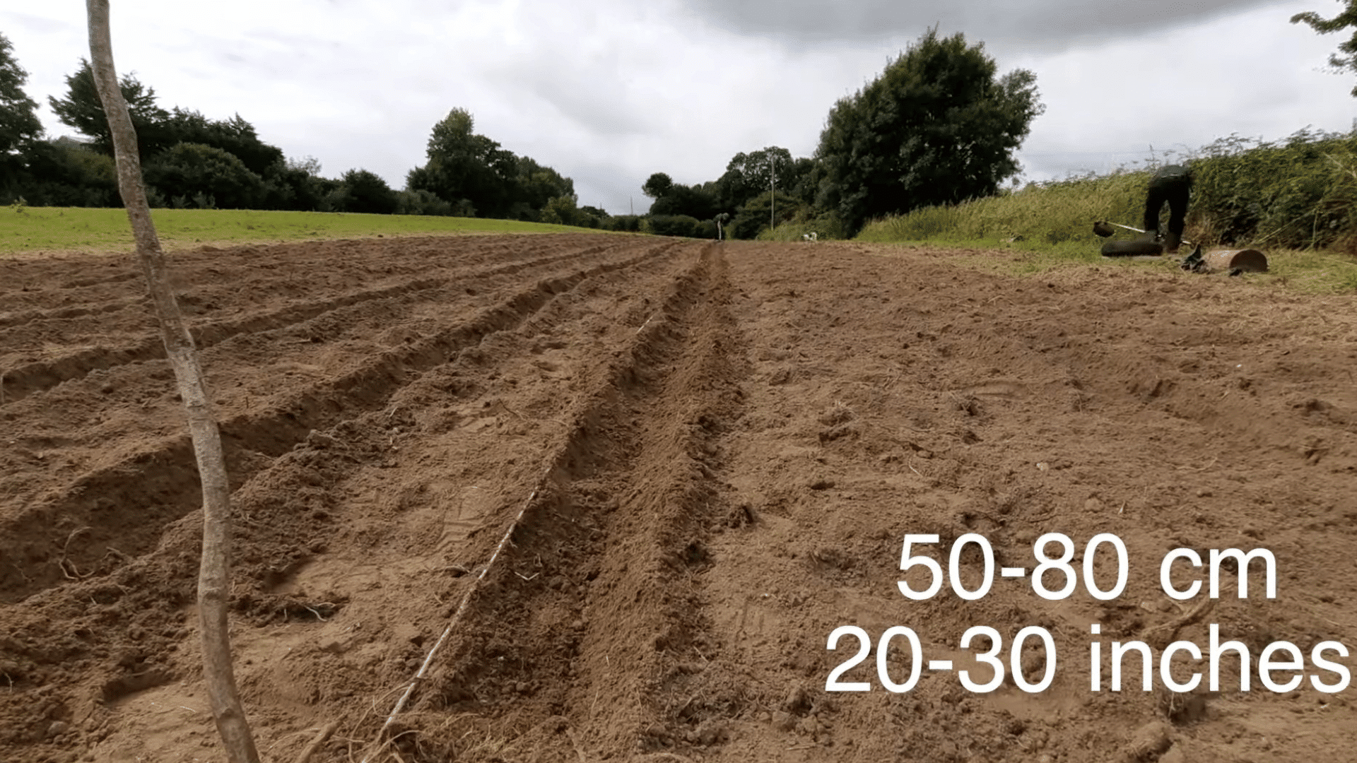 wide farm field with long soil rows and worker preparing ground for planting
