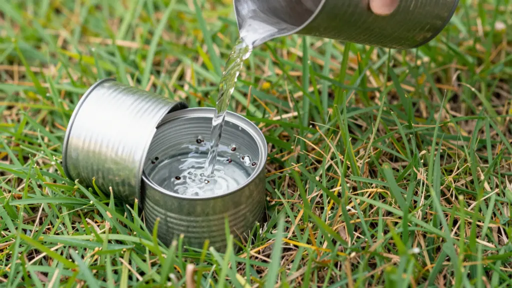 A person pouring water from a metal can into another bottomless metal can pushed into a patch of green and yellow lawn grass.