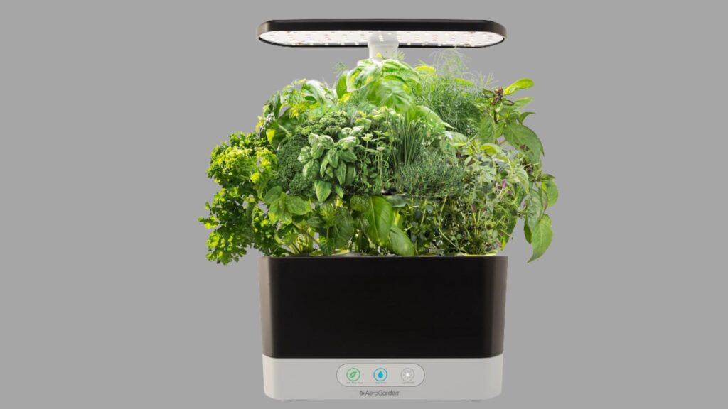 aerogarden harvest