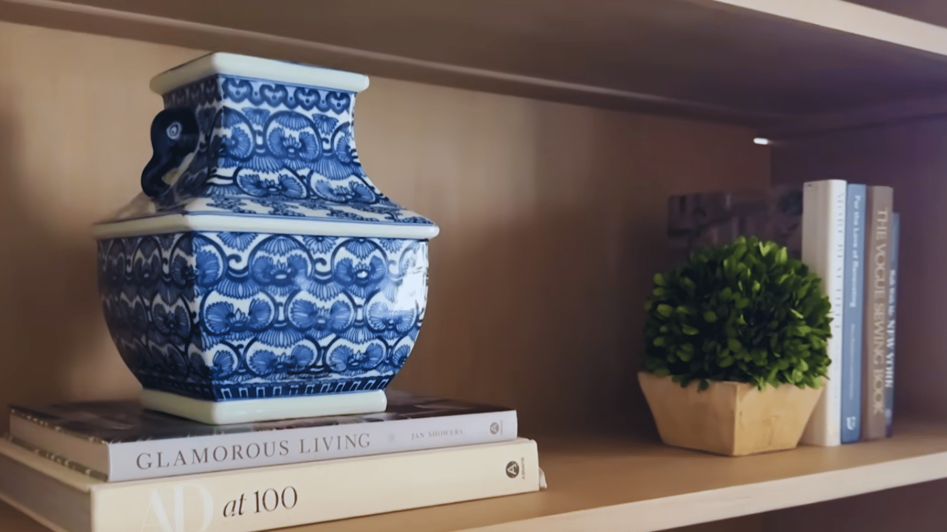 blue and white decorative jar on books with plant and books on bookshelf showing a simple cohesive theme