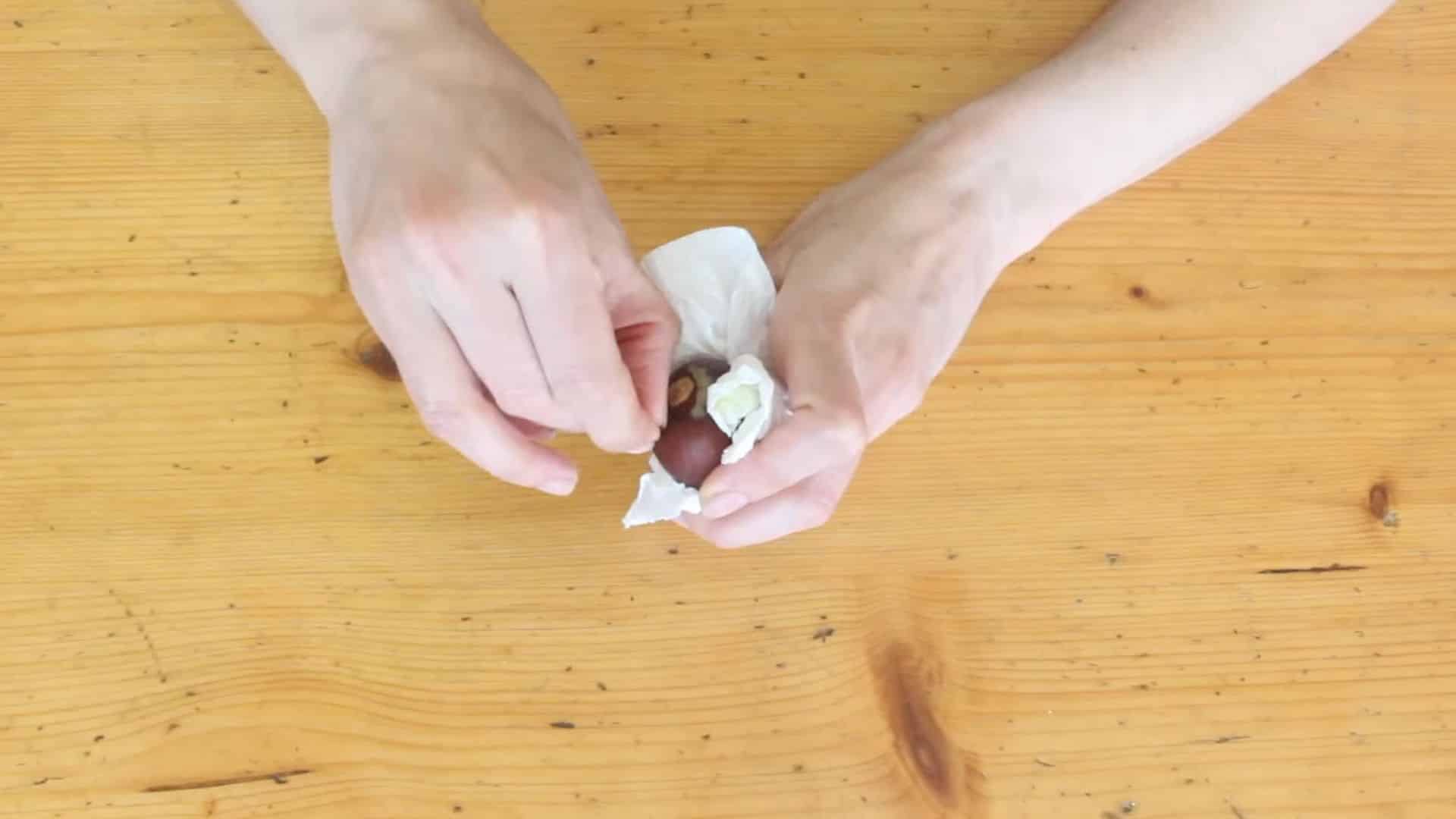 clean avocado seed with outer layer removed using paper towel for healthy growth start