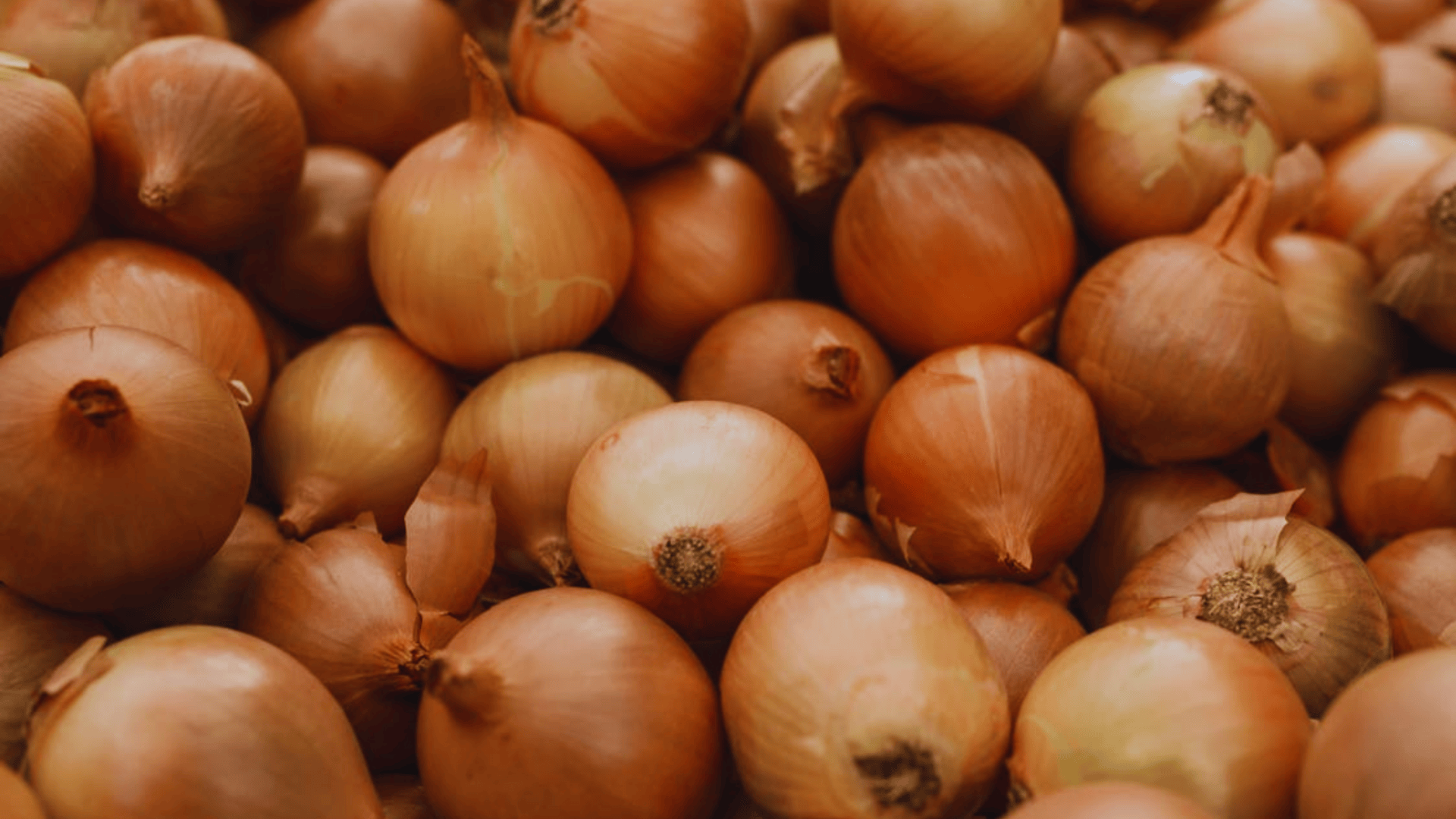 close-up of many brown onions with thin outer skins stacked together