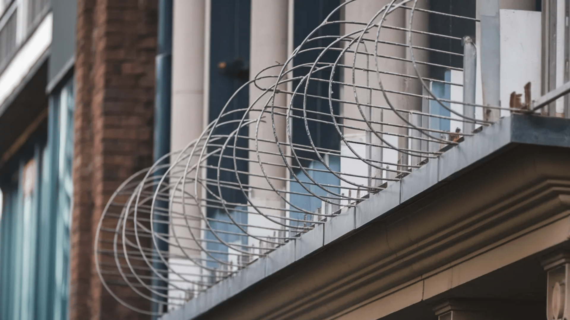 coiled wire barrier installed along ledge to deter birds