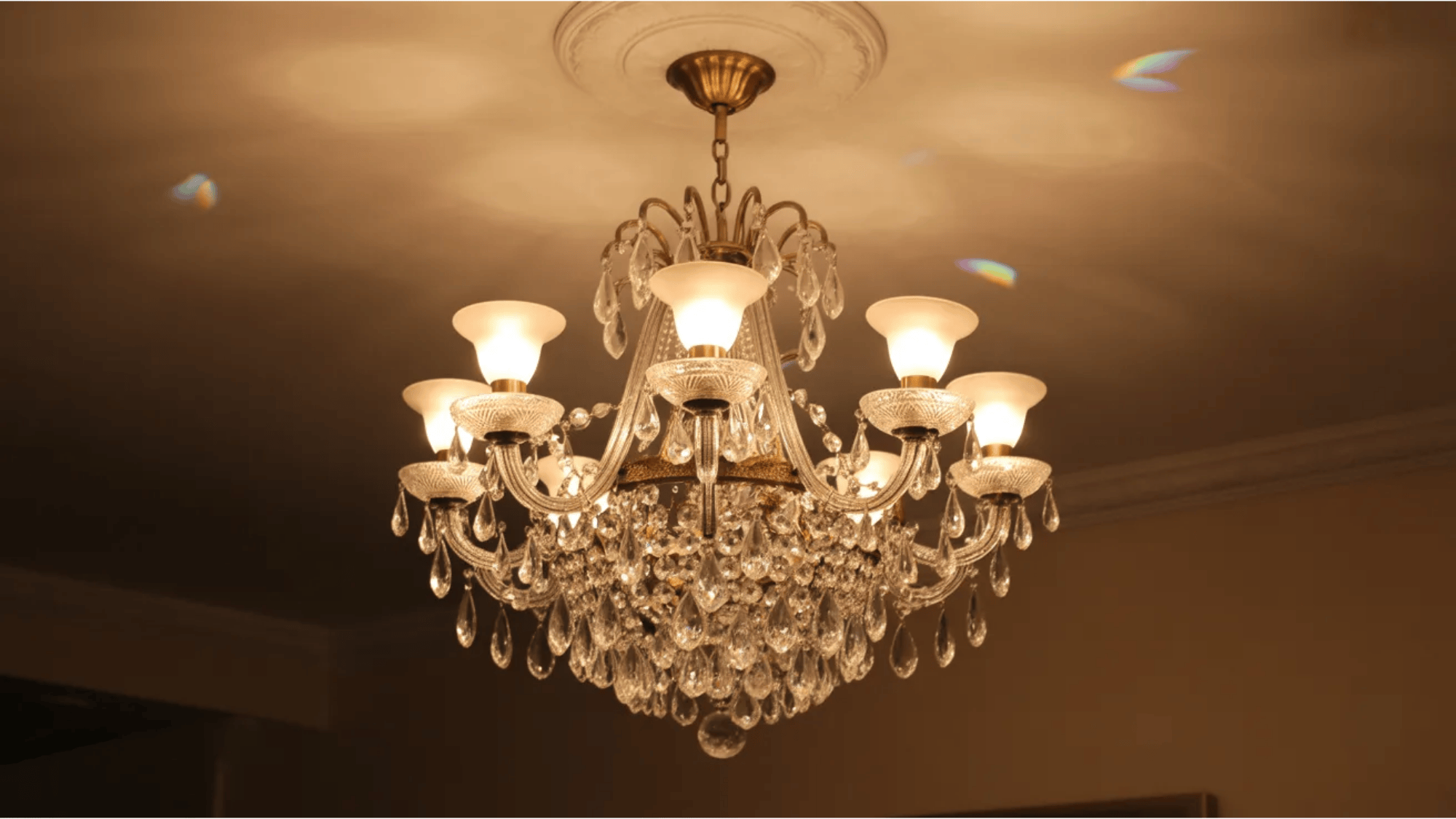 crystal chandelier with glowing bulbs hanging from ceiling adding elegant lighting to a warm transitional dining room setting