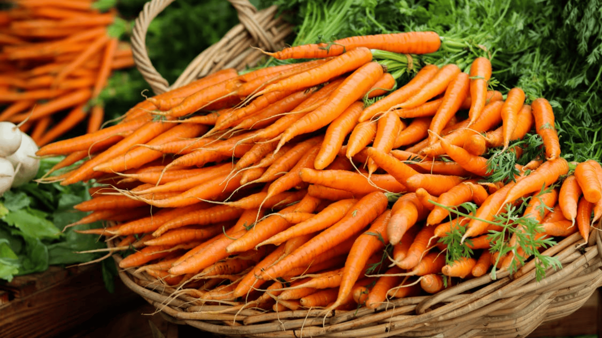 fresh carrots with green tops arranged in a basket at a market