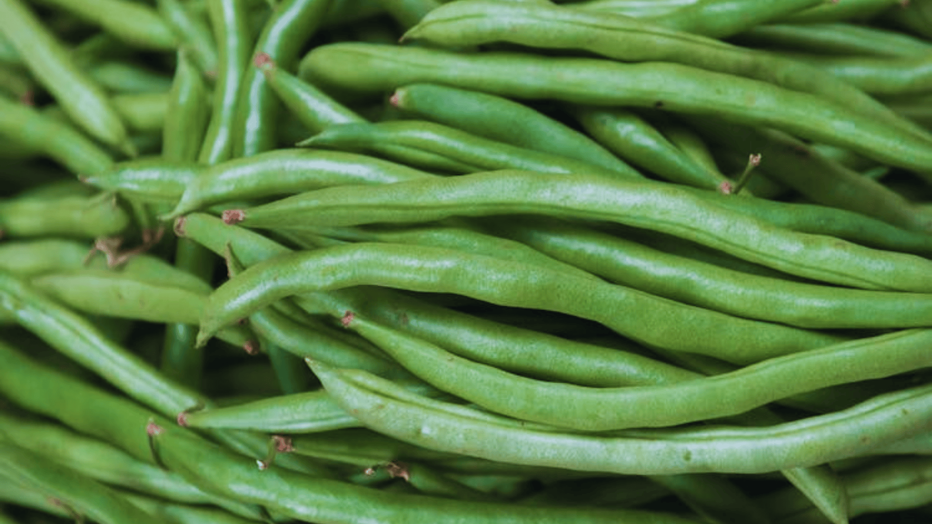 fresh green beans piled together