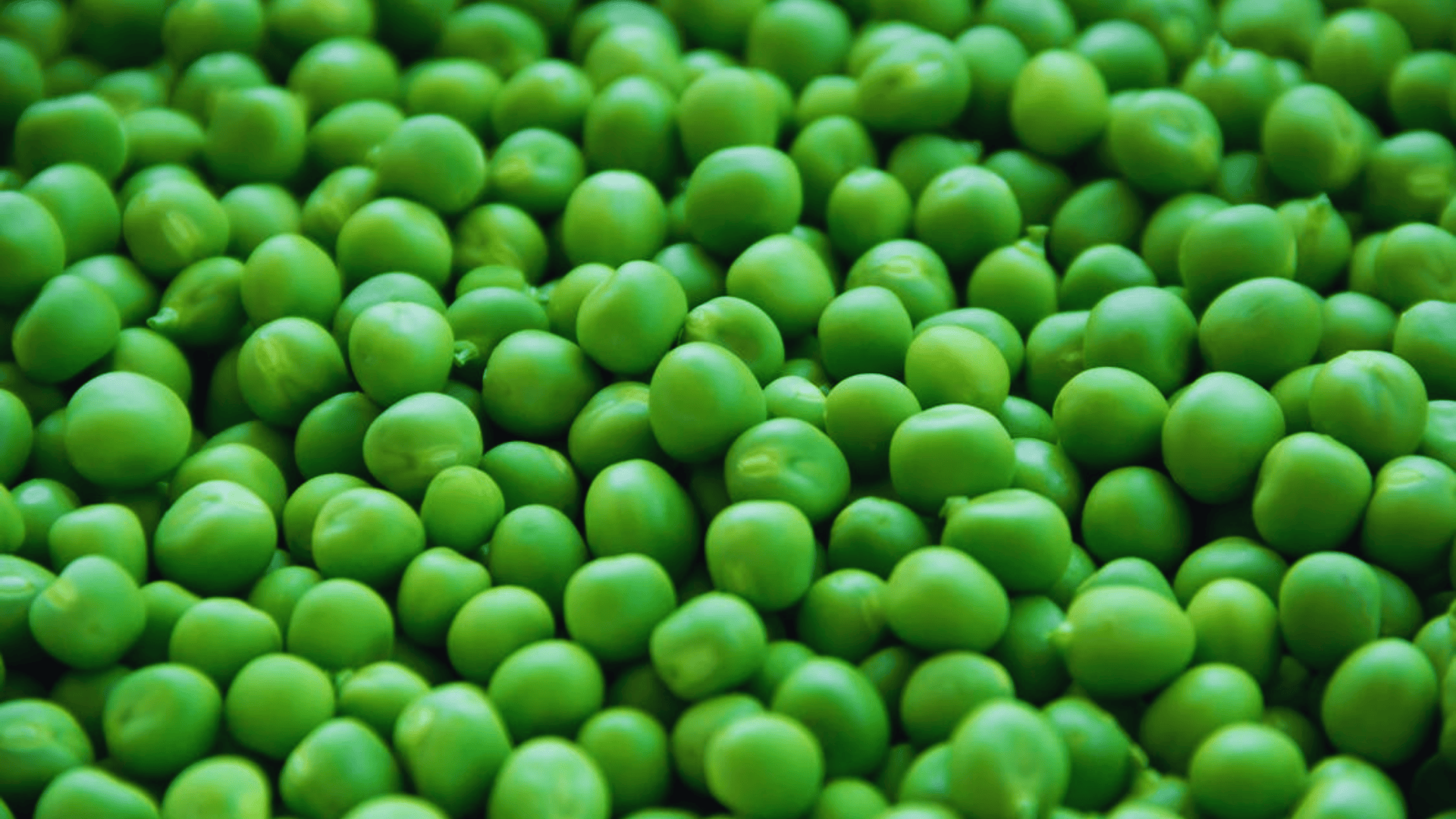 fresh green peas scattered together