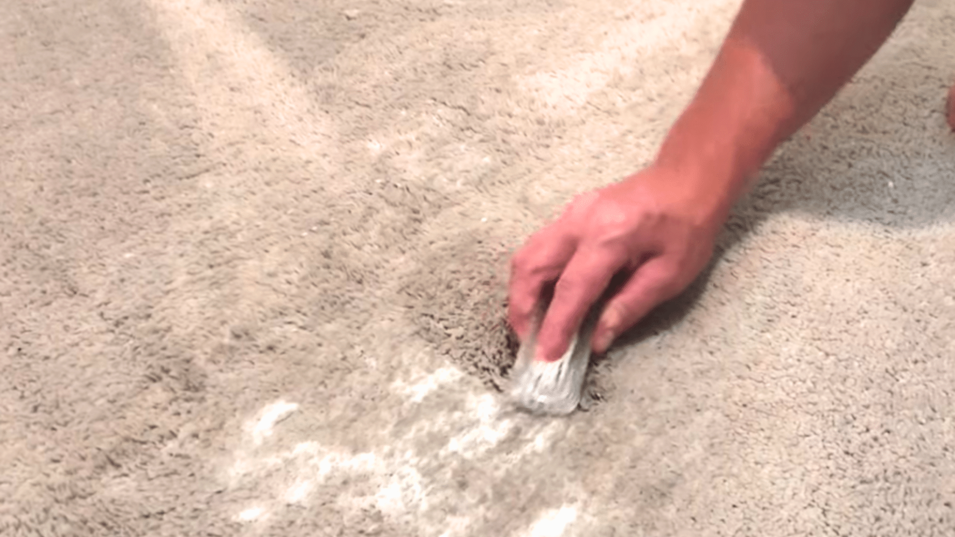 hand gently scrubbing a stained area of beige carpet with a small brush during spot cleaning
