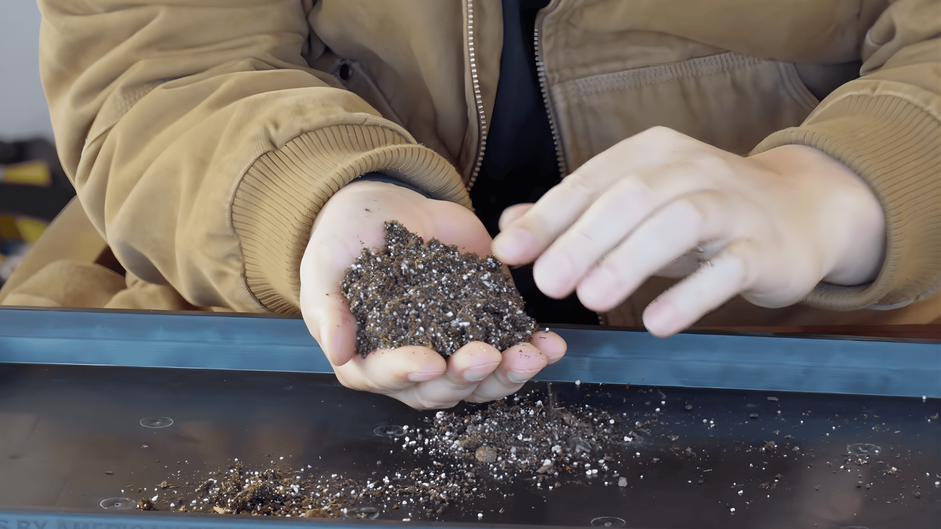 hands holding potting mix over tray preparing soil how to start seeds indoors