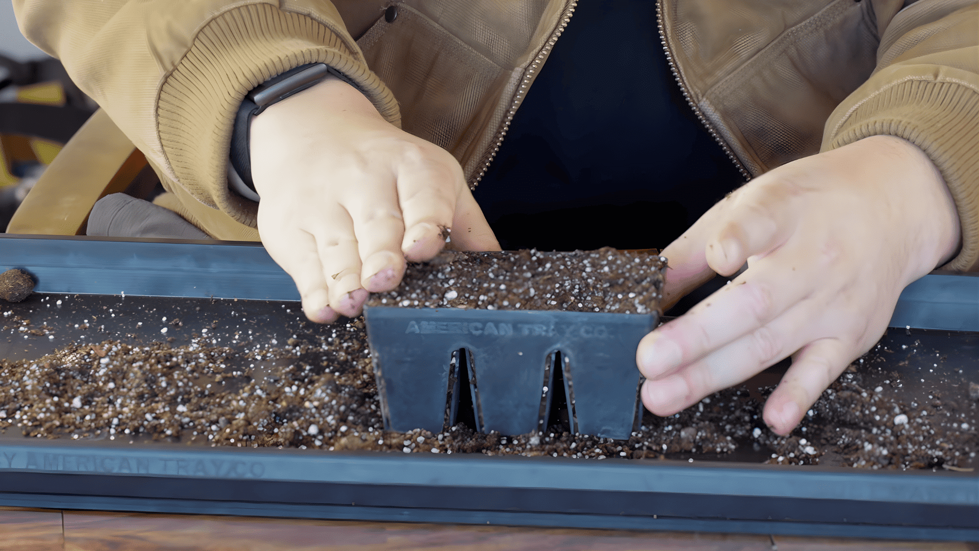 hands pressing soil into seed tray cell filling containers how to start seeds indoors
