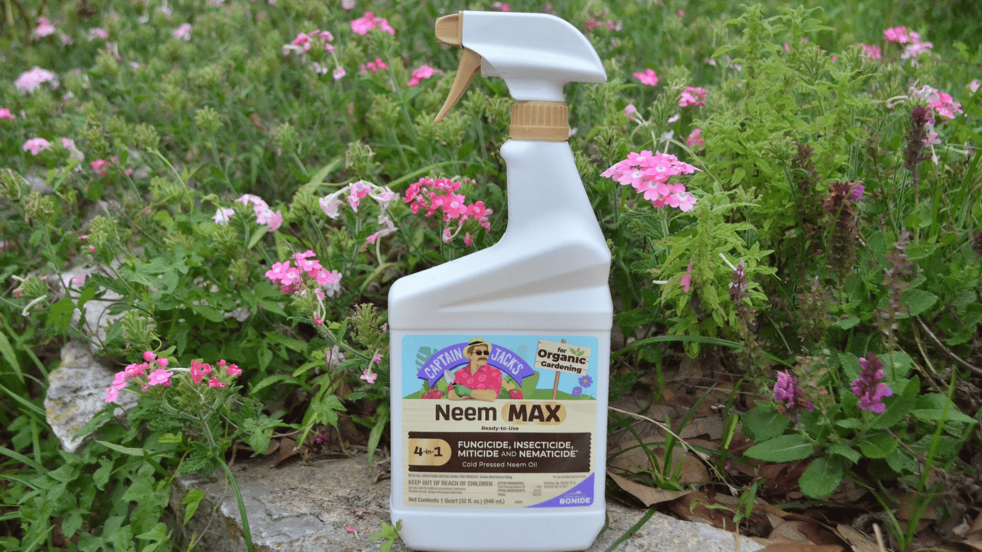 how to get rid of spider mites on indoor plants neem oil spray bottle placed among green plants for pest control treatment