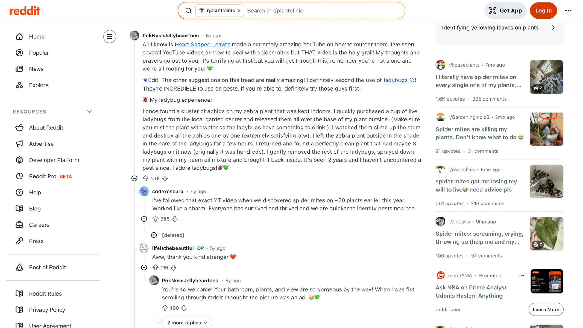 how to get rid of spider mites on indoor plants reddit thread showing advice and comments about pest control on plants