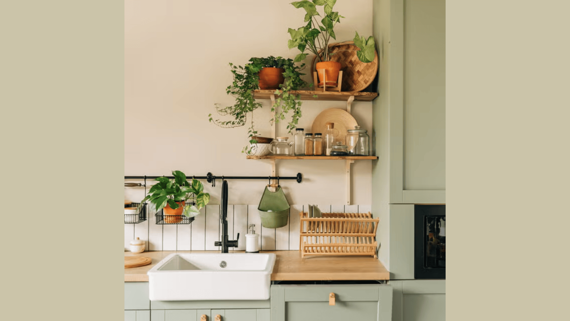 kitchen wall shelves with green plants jars and wooden dish rack above sink