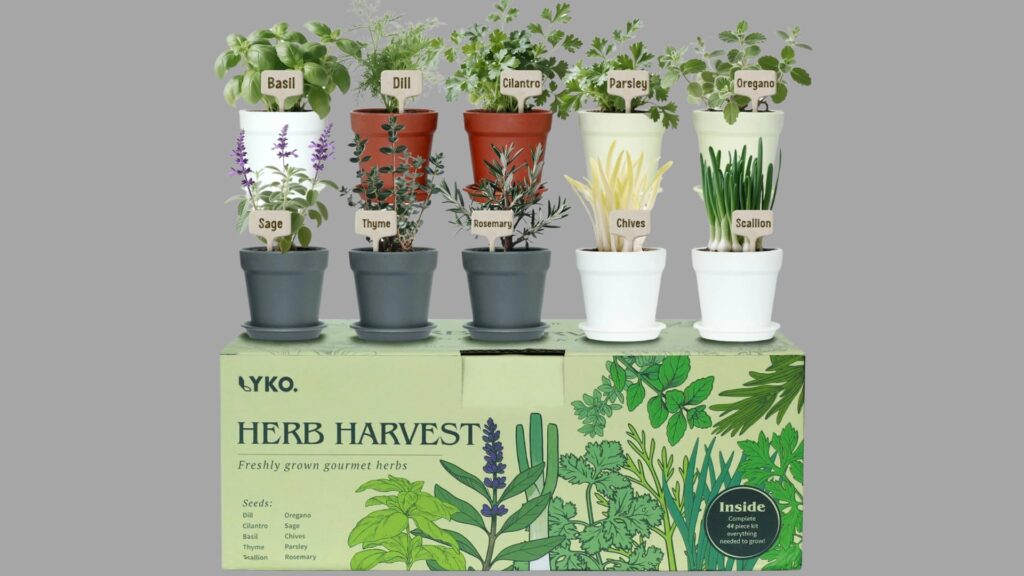 lykoclean herb starter kit