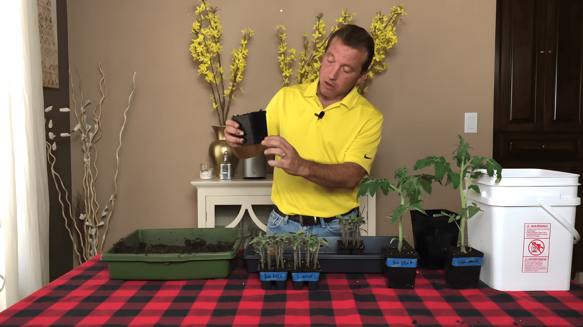 man explaining when to transplant tomato seedlings while holding empty pot and preparing containers on table indoors