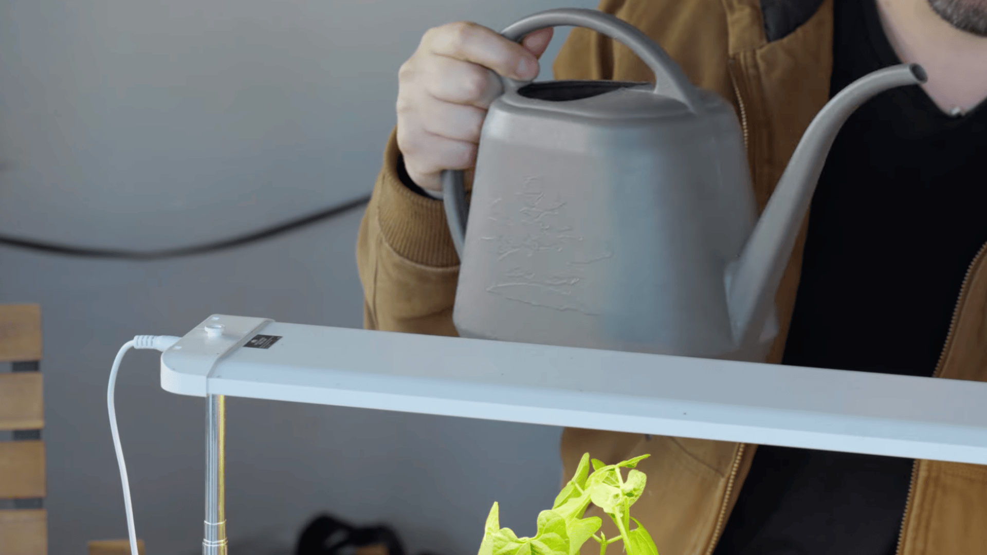 person watering young seedlings under grow light indoors how to start seeds indoors