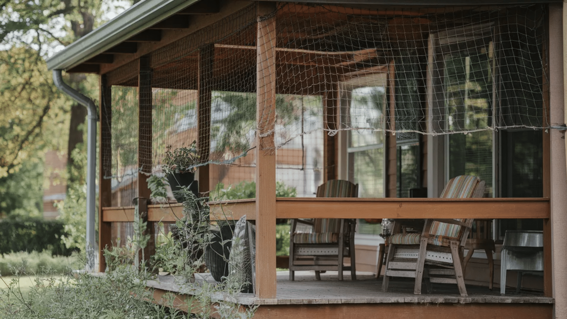 porch enclosed with netting to keep birds out