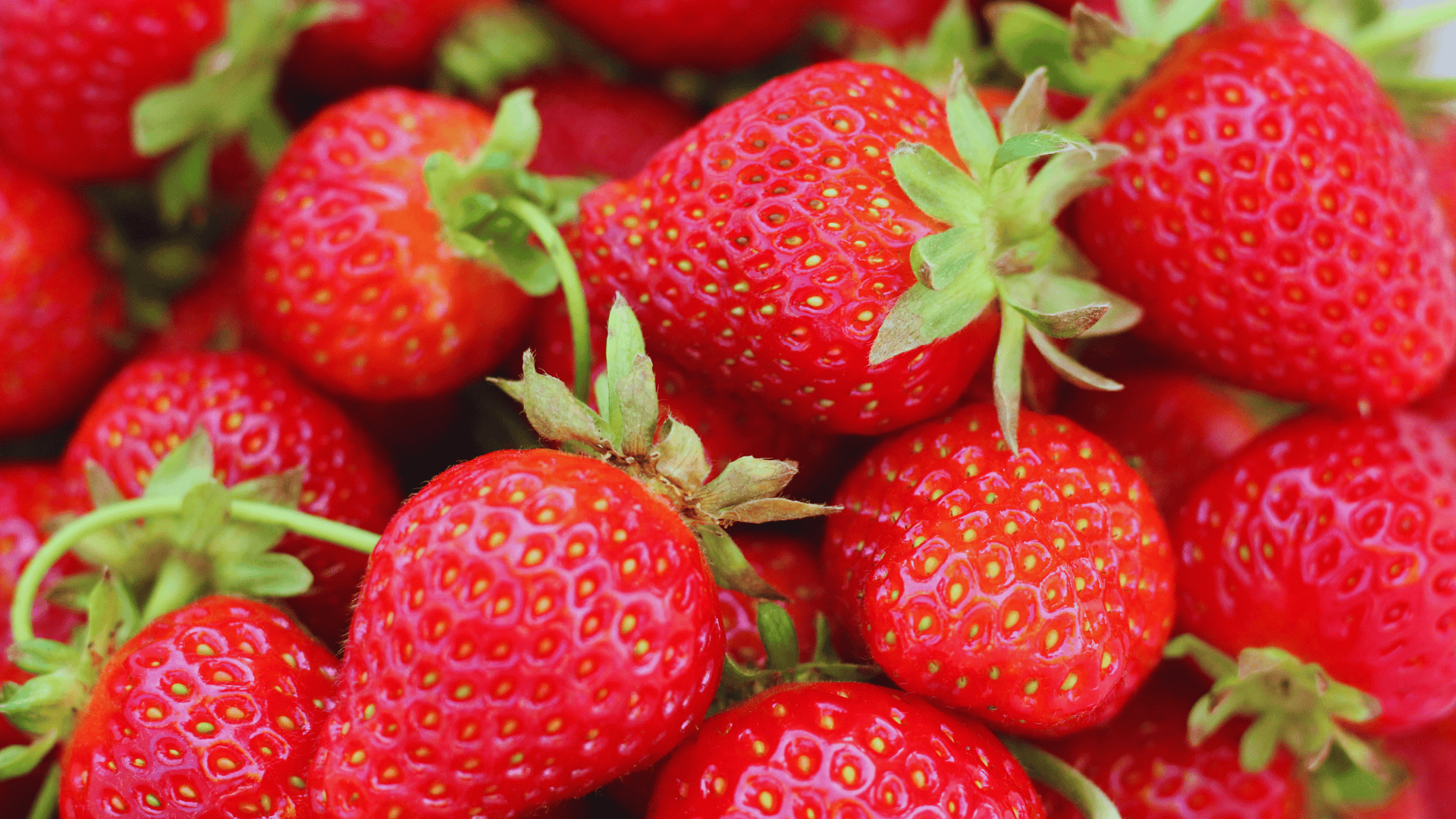ripe strawberries with vibrant red color and green leaves on top