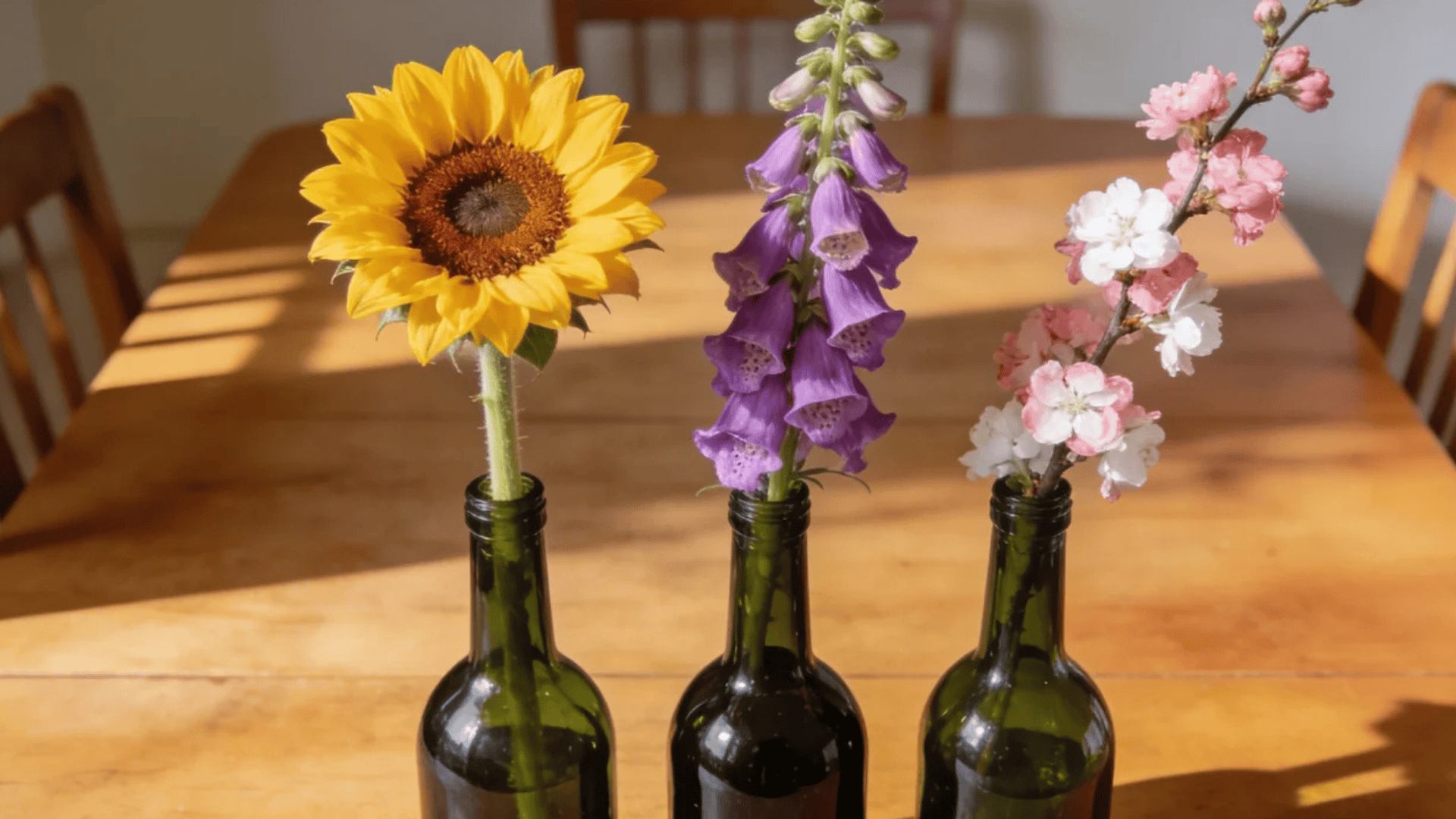 three flowers in glass bottles on wooden table in sunlight with soft shadows and warm tones